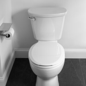 Toilet - Image 1